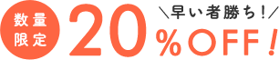 数量限定20%OFF