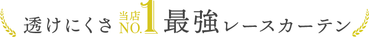 透けにくさ当店NO1最強レースカーテン