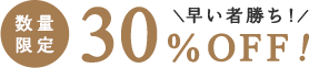 数量限定30%OFF