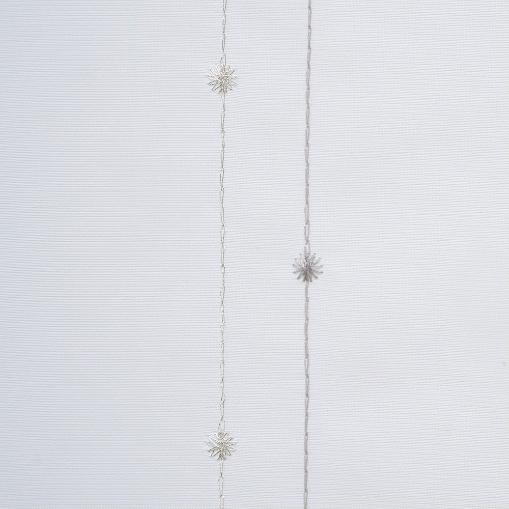 シルバー(kzr_0245)