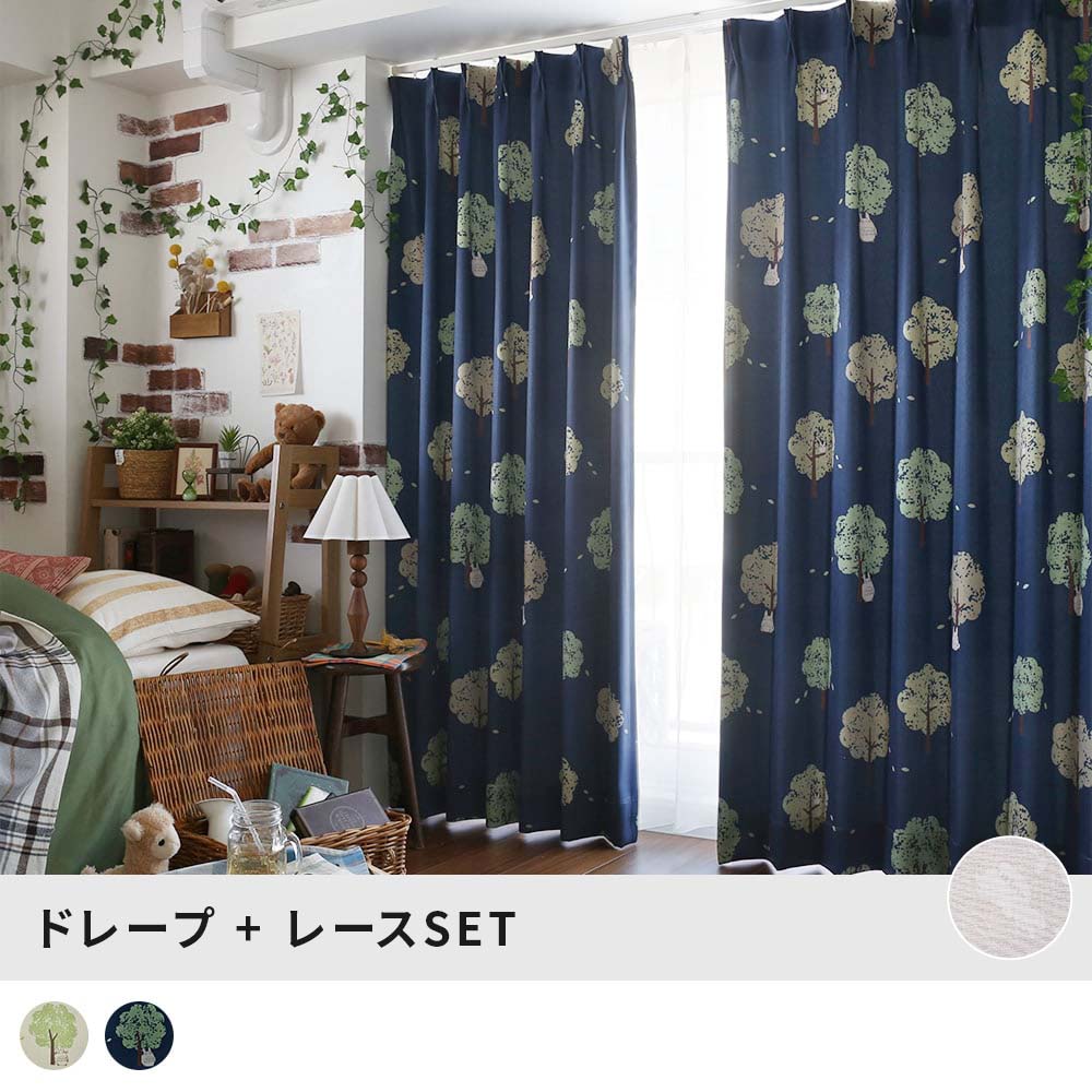 くすの木と風