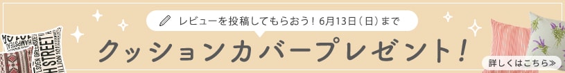 レビューを投稿してもらおう!クッションカバープレゼント!