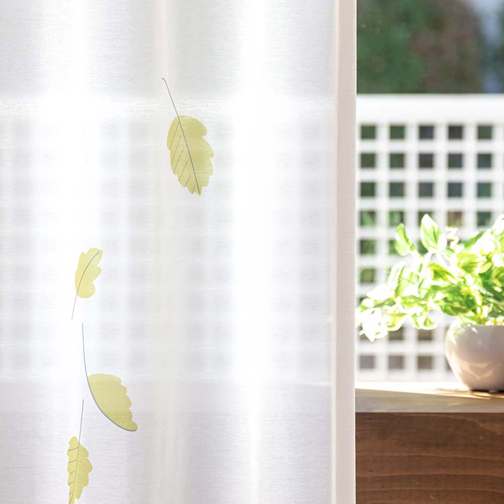 完売：白樺の鉢植え No.16