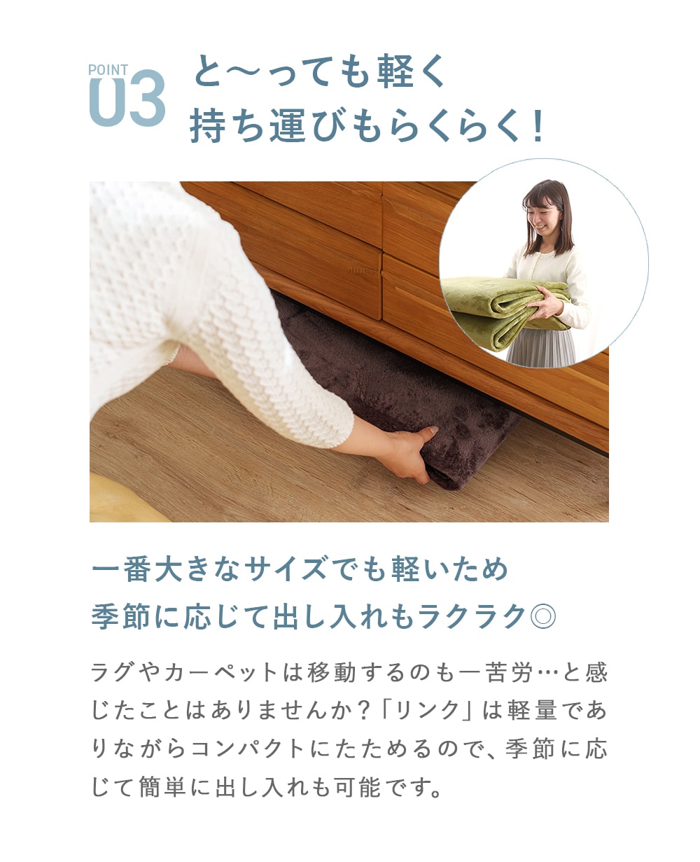 1年中快適に使える洗えるラグ魅力的な価格と使いやすさで人気の「リンク」をご紹介