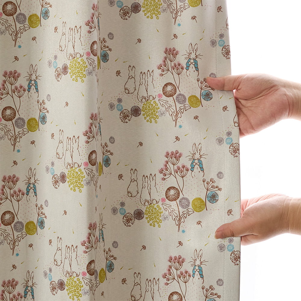 ダンディライオン 商品画像07