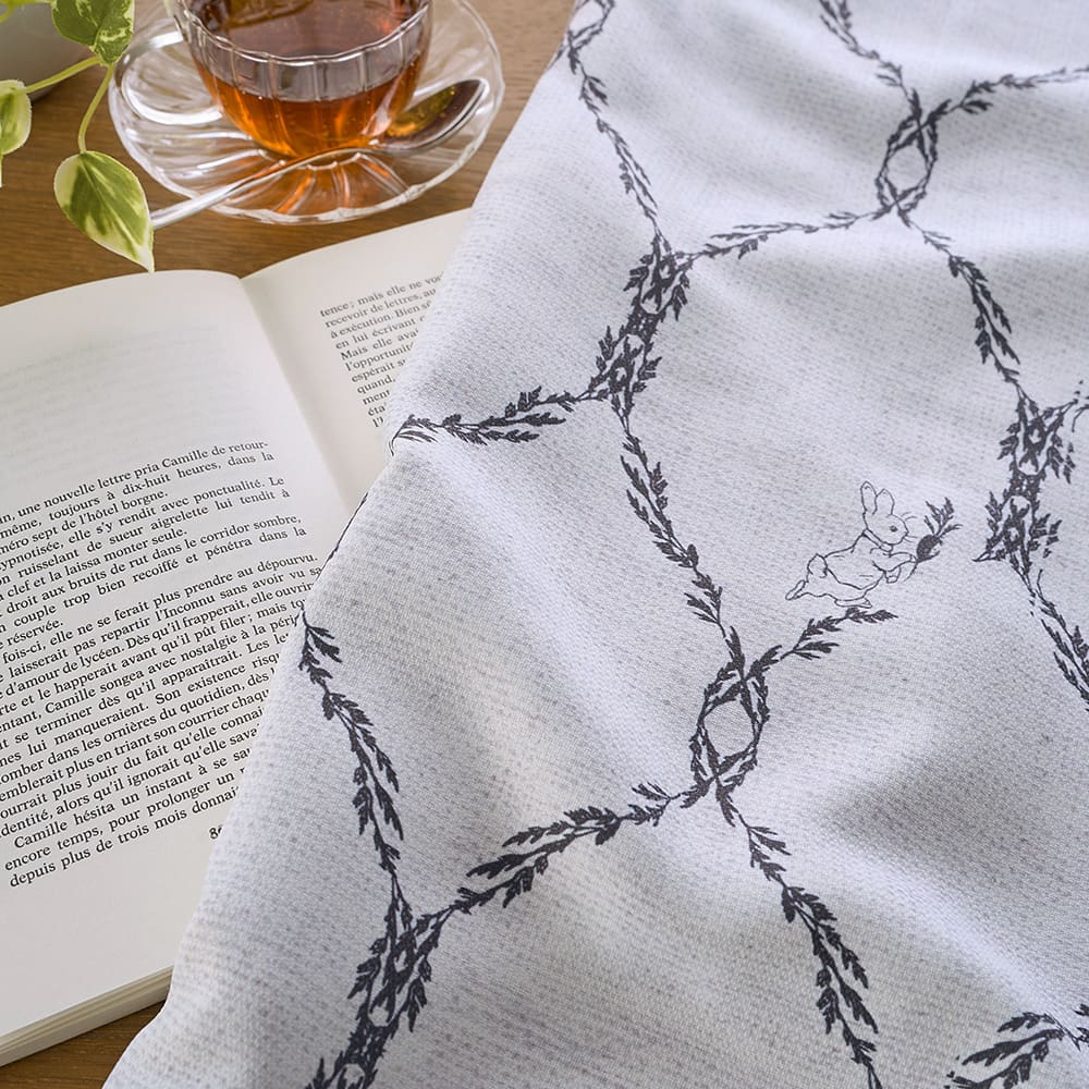 アイビー 商品画像04