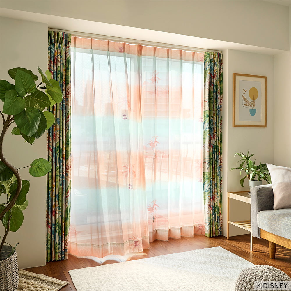 サンセットボイル 商品画像01