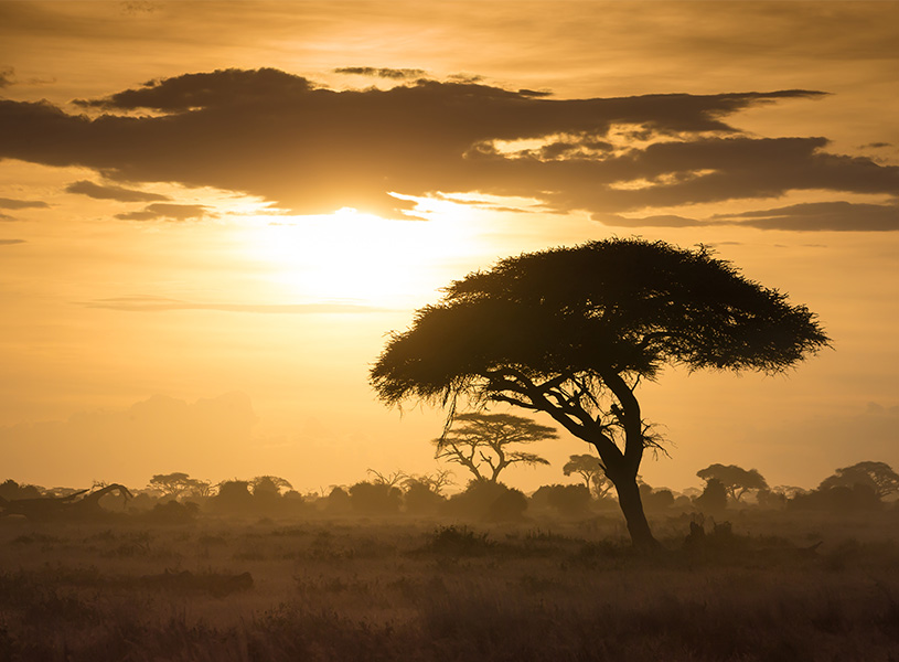 アフリカの夕日の景色