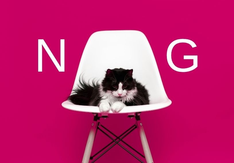 ピンクの背景にNGの文字、猫が乗った白い椅子