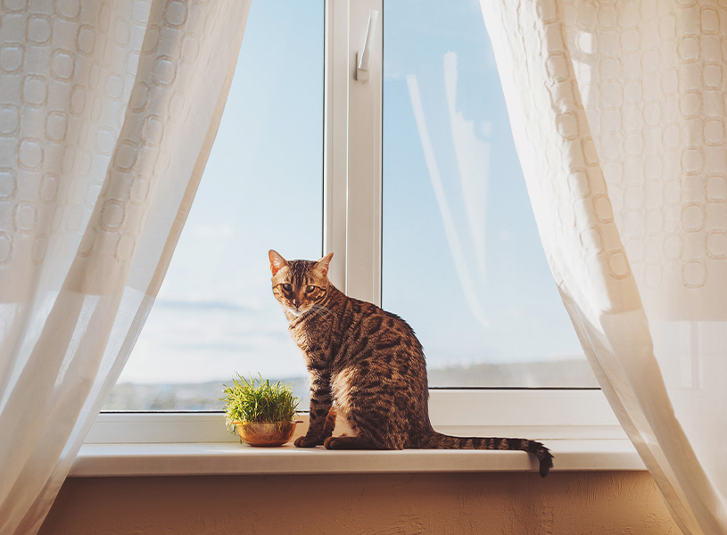 ベージュのカーテンが活躍する4つのシーン