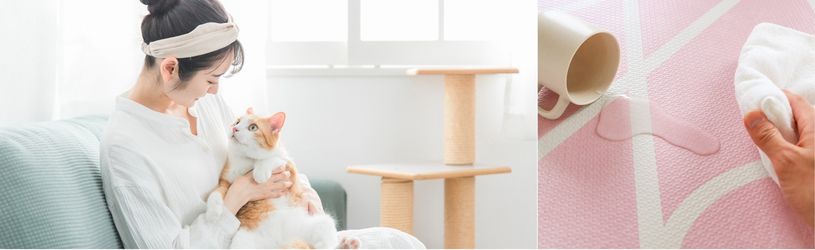 ペットとの暮らし