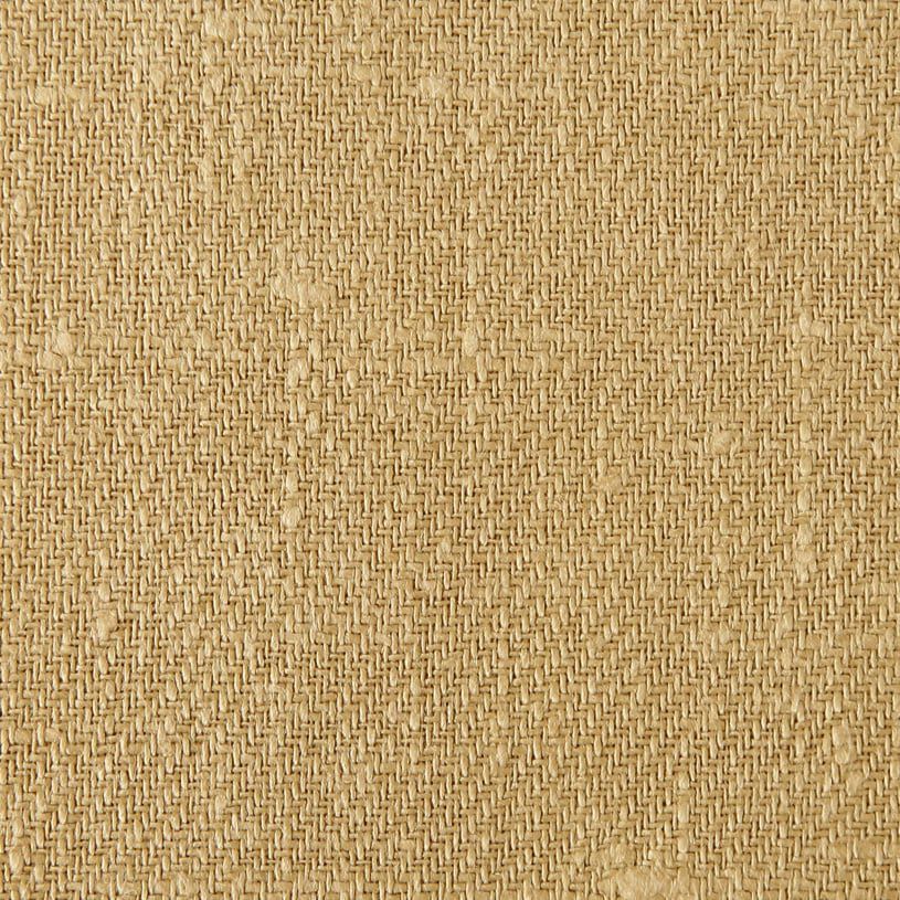 オリーブ（enu_0010）