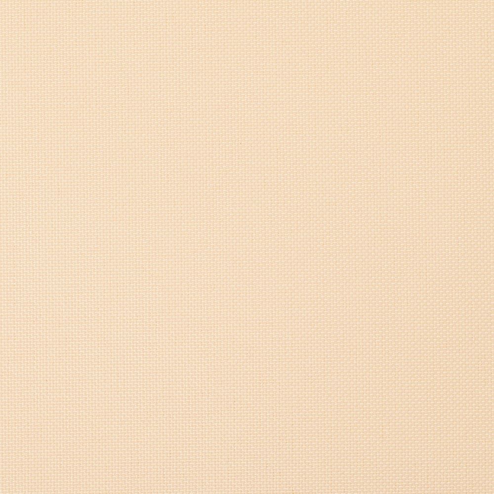 アプリコット(tk_tr_1043)