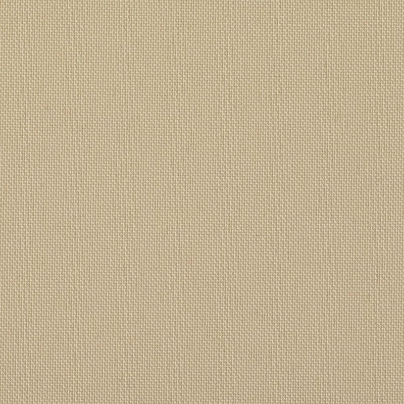 シナモン(tk_tr_1047)