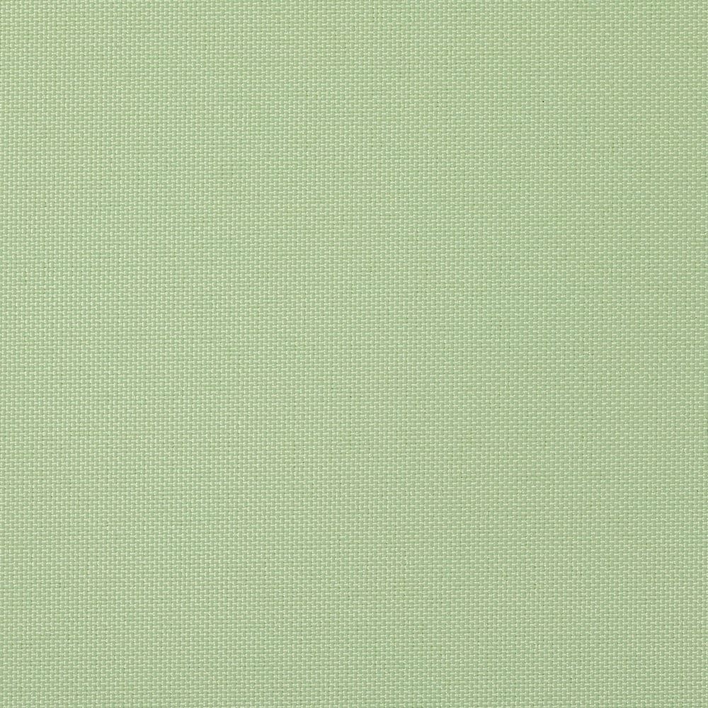 マスカット(tk_tr_1049)