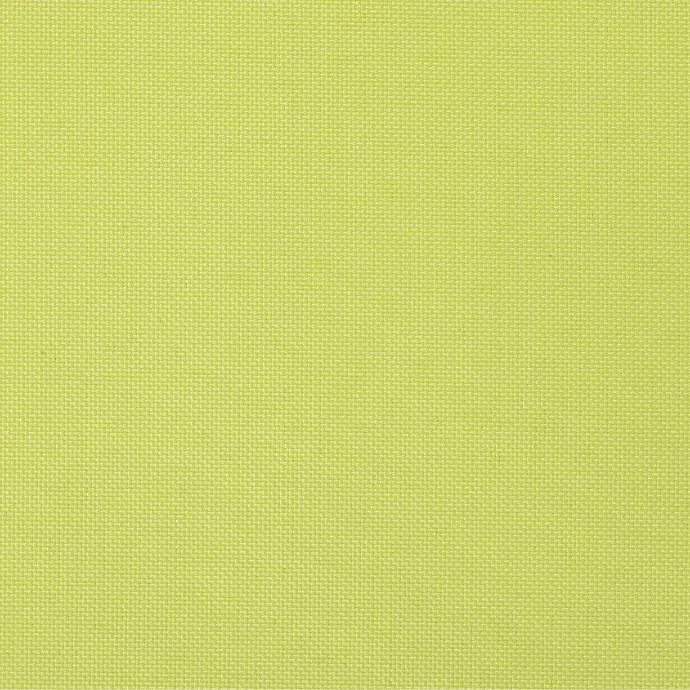 ライム(tk_tr_1564)