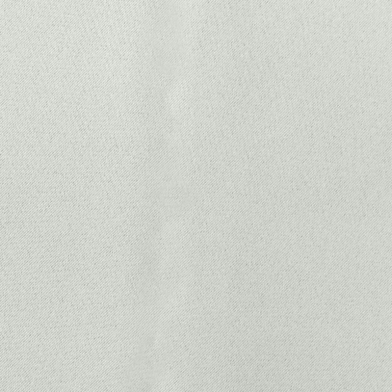 スノーグレー（d0200）