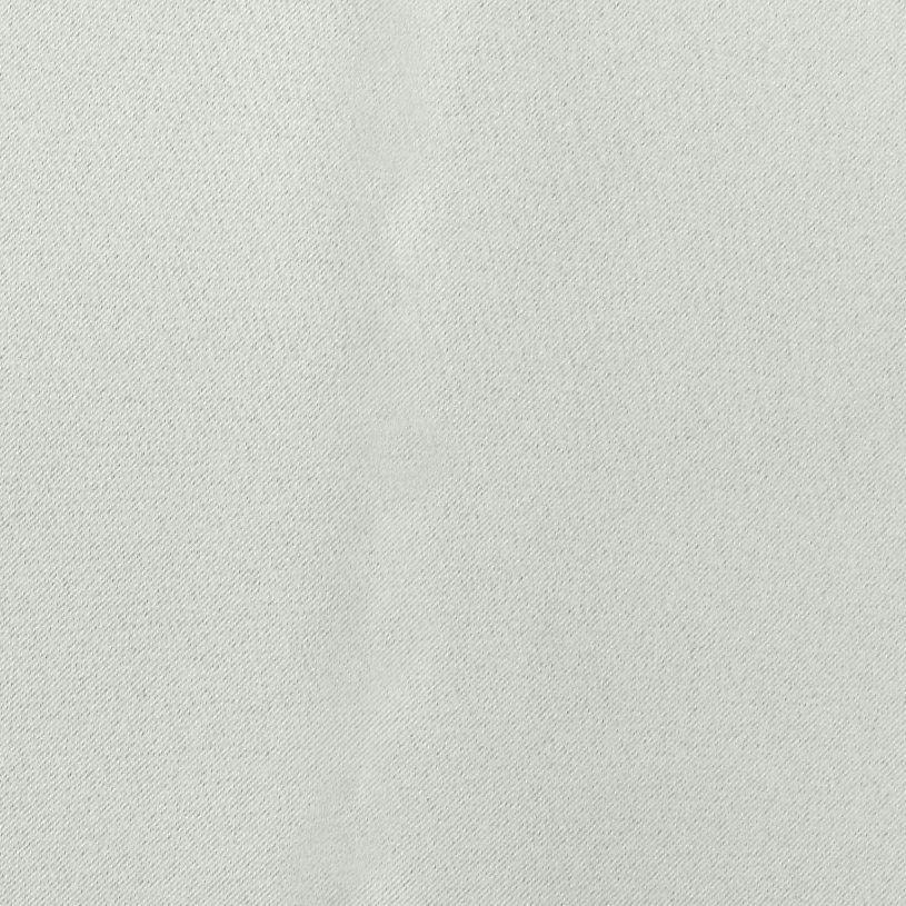 スノーグレー（d0200）