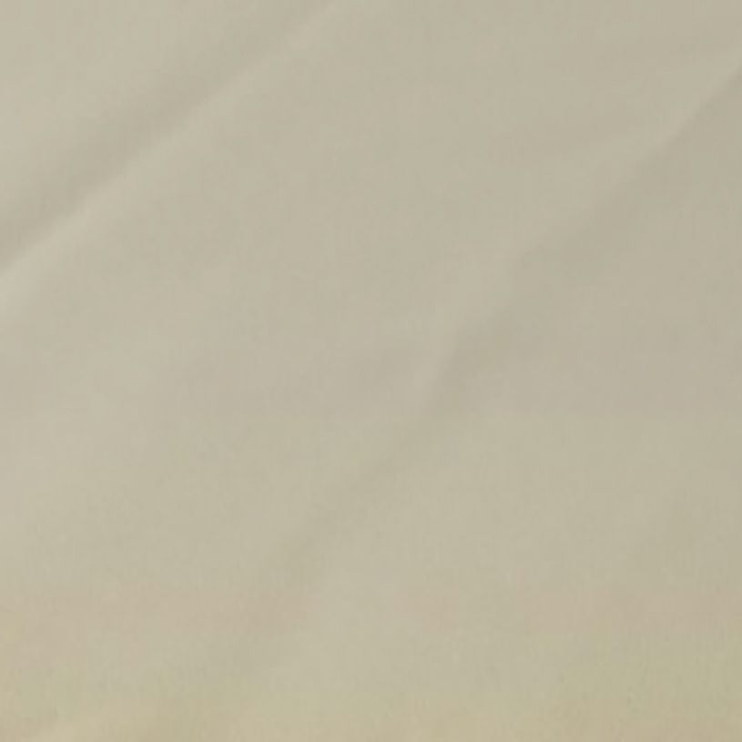 グレージュ（ps_105_wm）