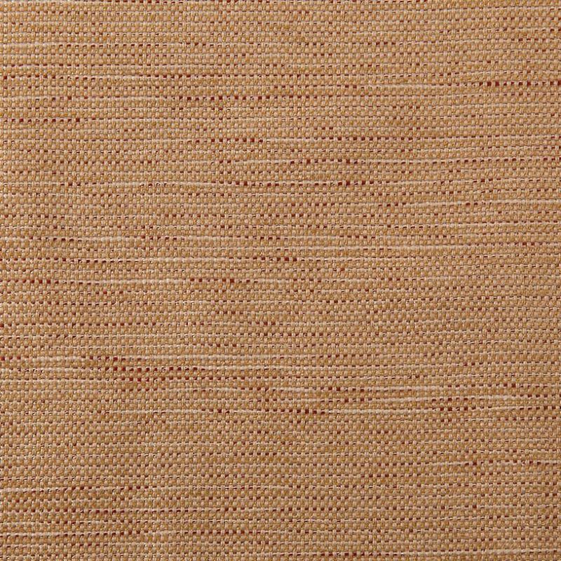 モカ（ns_0204_l）