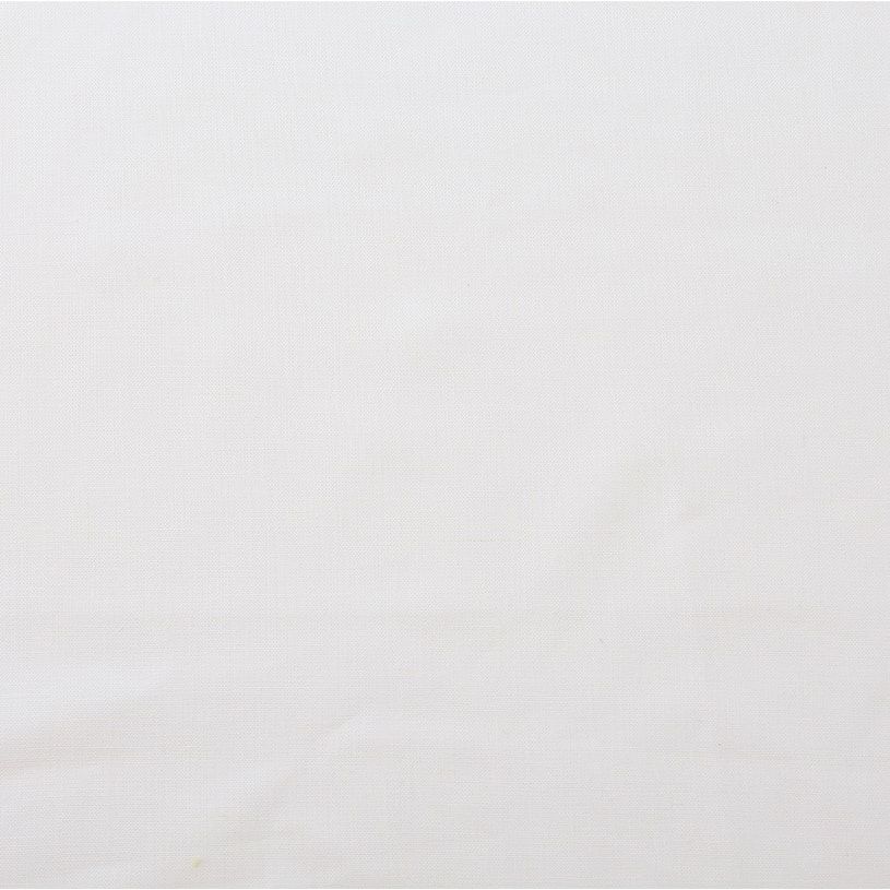 ホワイト（cl_0365）