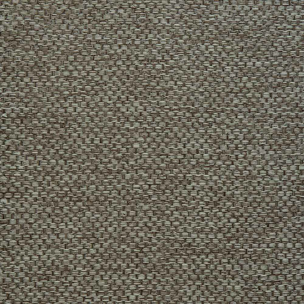 カラー：ブラウン