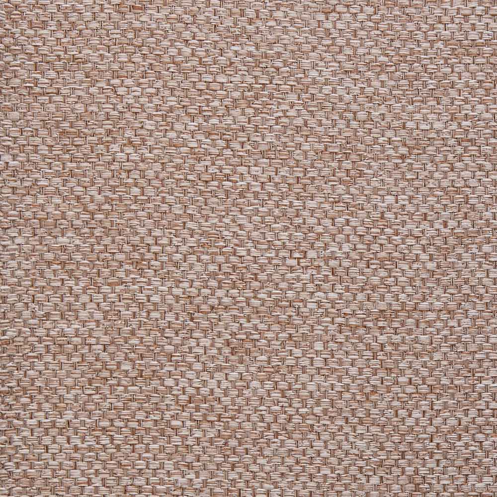 カラー：コーラル