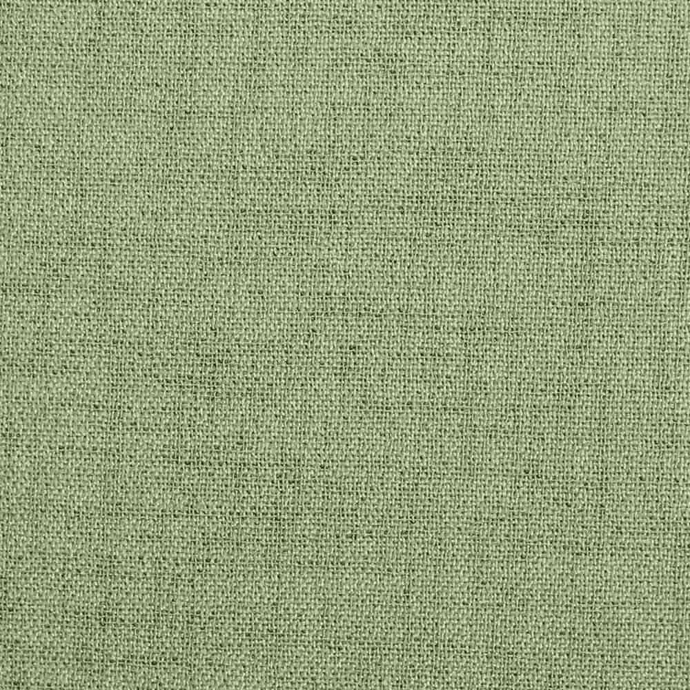 カラー：ライトグリーン